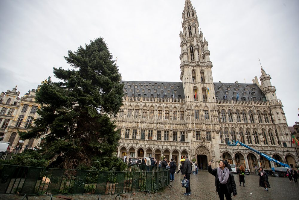 Am Donnerstag ist der Weihnachtsbaum auf der Brüsseler Grand Place angekommen (Bild: Nicolas Maeterlinck/Belga)