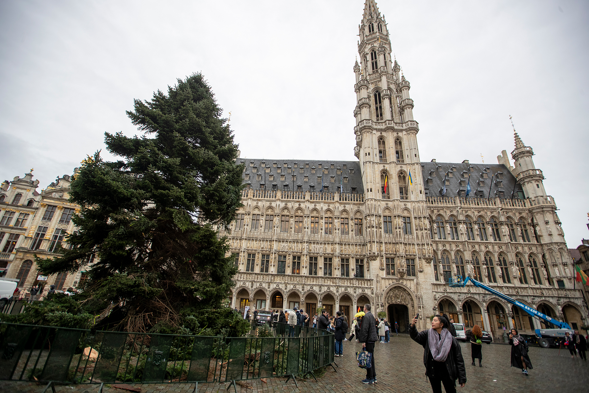 Am Donnerstag ist der Weihnachtsbaum auf der Brüsseler Grand Place angekommen (Bild: Nicolas Maeterlinck/Belga)