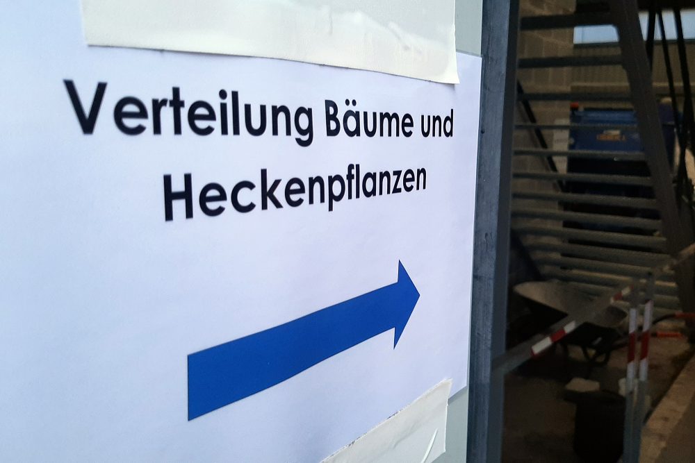 Woche des Baumes: Verteilung in Raeren (Bild: Manuel Zimmermann/BRF)