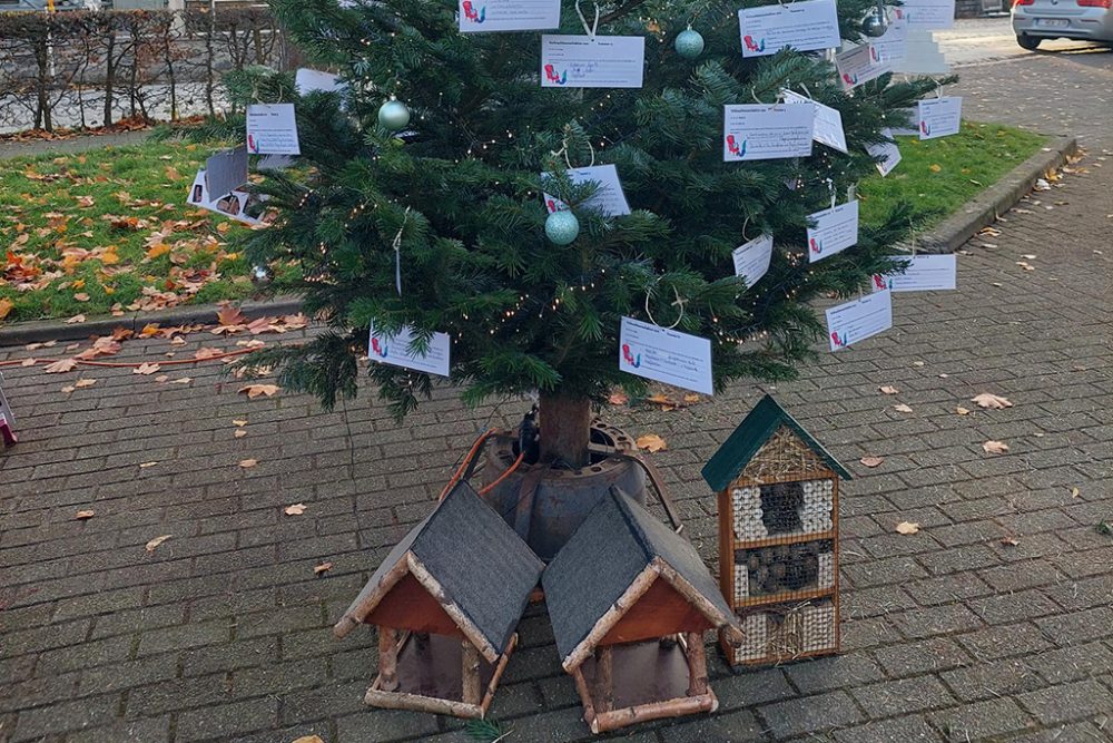 Wunschzettelbaum des ÖSHZ Raeren (Bild: ÖSHZ)