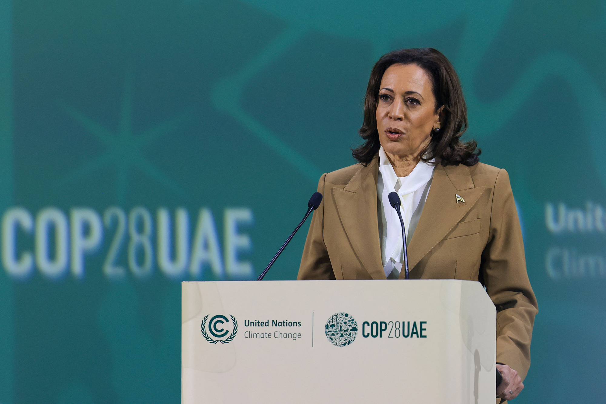 US-Vizepräsidentin Kamala Harris bei der UNO-Klimakonferenz in Dubai (Bild: Karim Sahib/AFP)