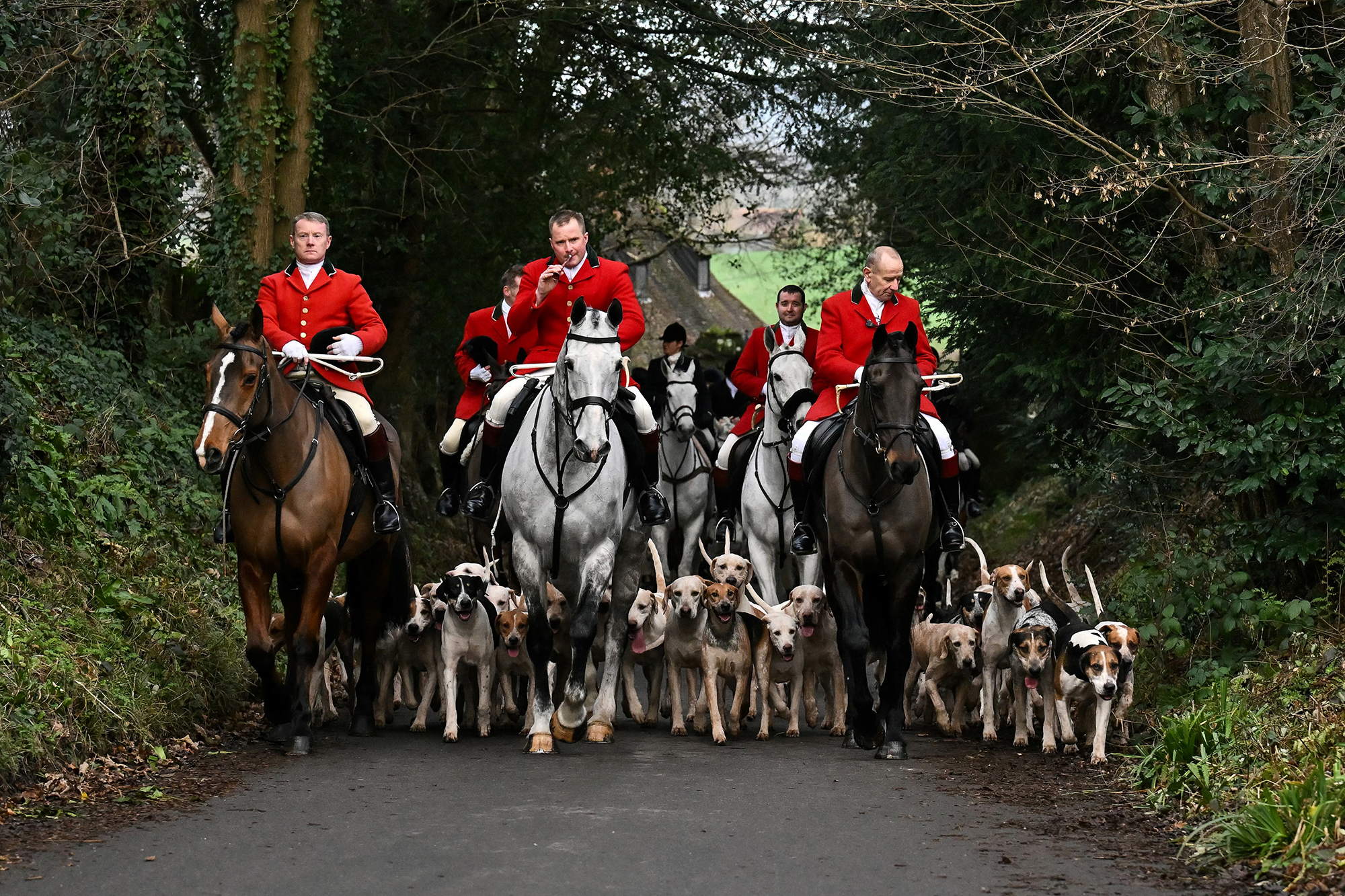 Mitglieder der Old Surrey, Burstow and West Kent Hunt versammeln sich am 26. Dezember 2023 südlich von London in Chiddingstone Castle zu ihrer jährlichen Jagd am zweiten Weihnachtsfeiertag (Bild: Ben Stansall/AFP)