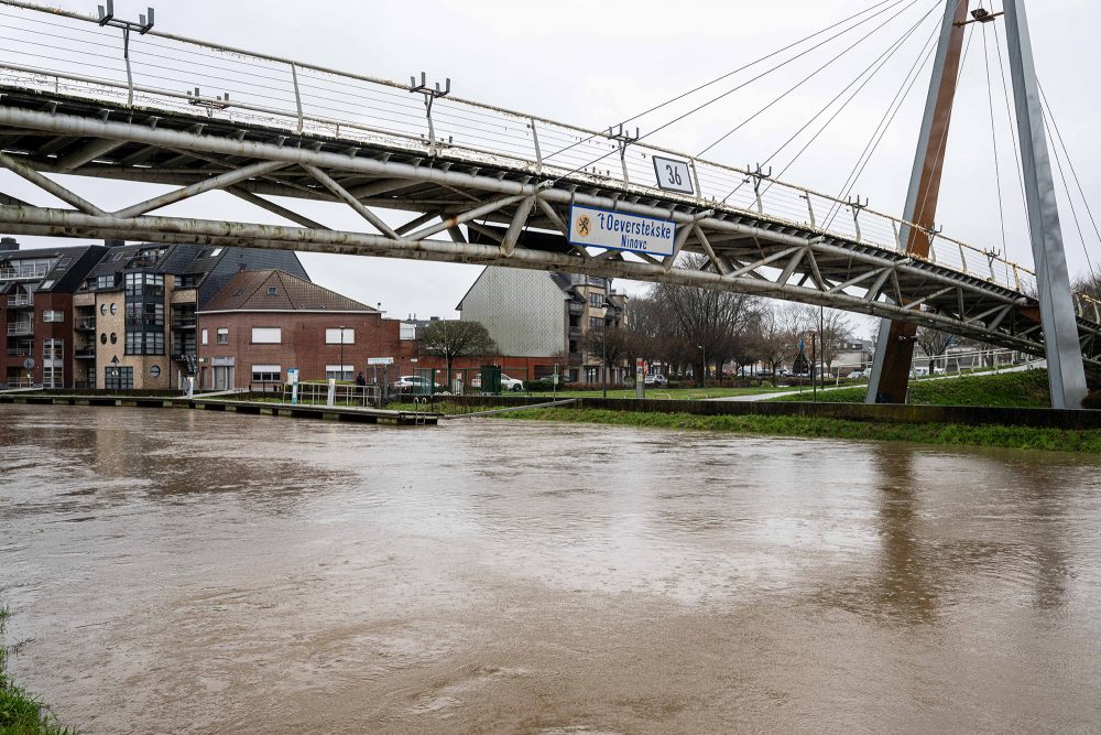 Hoher Pegelstand der Dender in Zentrum von Ninove (Bild: Jonas Roosens/Belga)