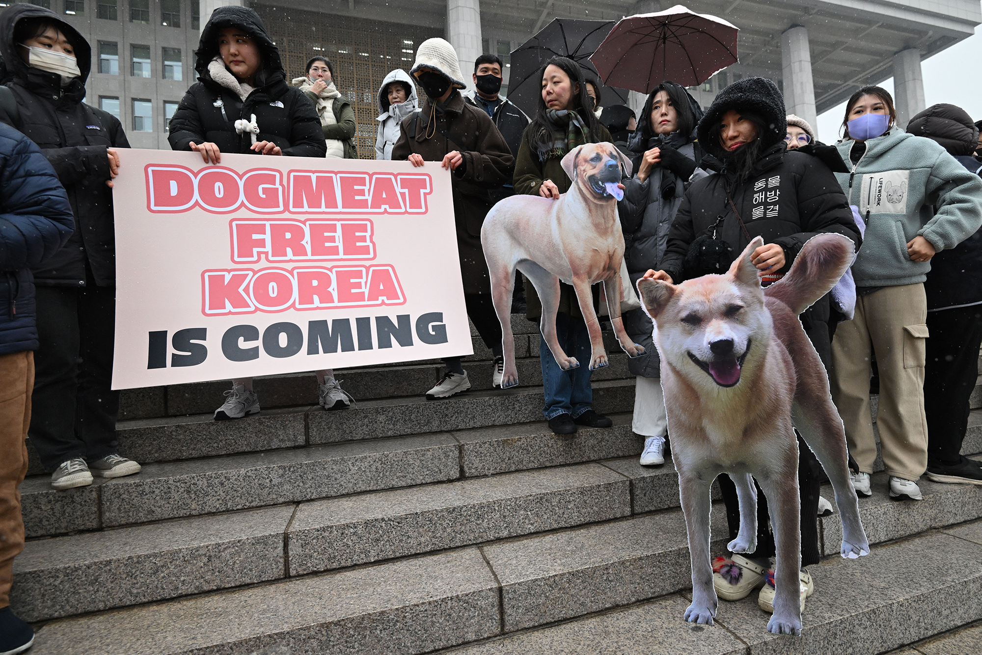 Tierschutz-Aktivisten vor dem Parlament in Seoul (Bild: Jung Yeon-Je/AFP)