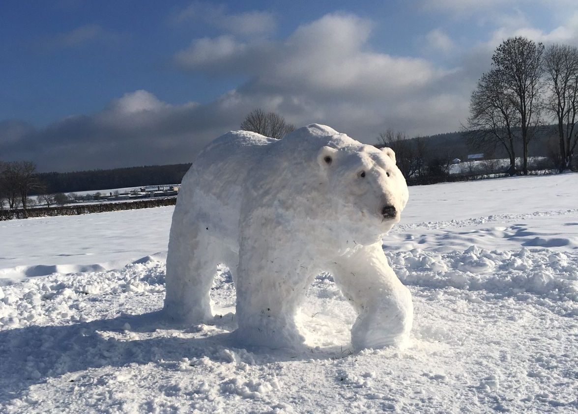 Eisbär in Kettenis gesichtet (Bild: Isabelle Rombach)