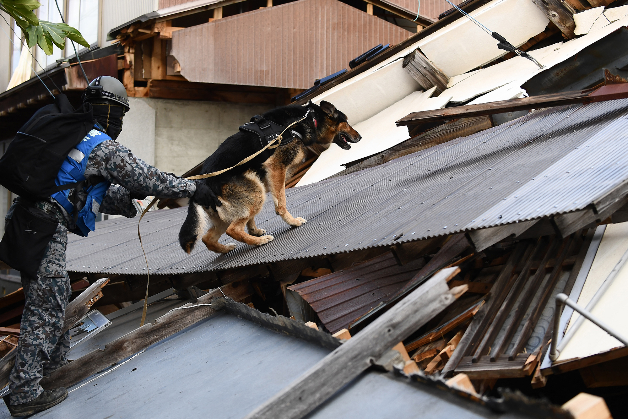Soldaten unterstützen mit Spürhunden die Suche nach Überlebenden unter den Trümmern (Bild: Toshifumi Kitamura/AFP)