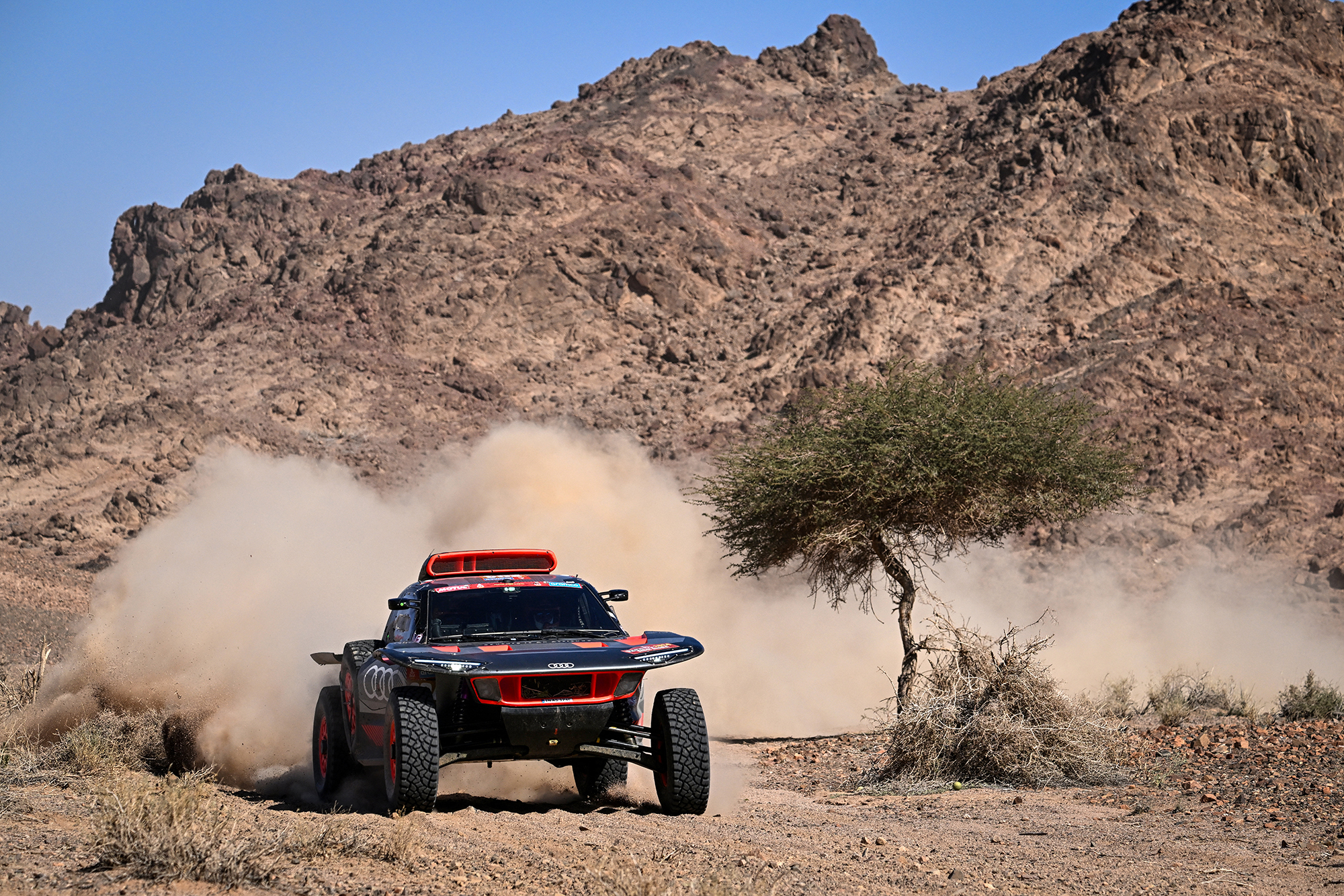Carlos Sainz/Lucas Cruz (Audi) gewinnen die Rallye Dakar (Bild: Patrick Hertzog/AFP)