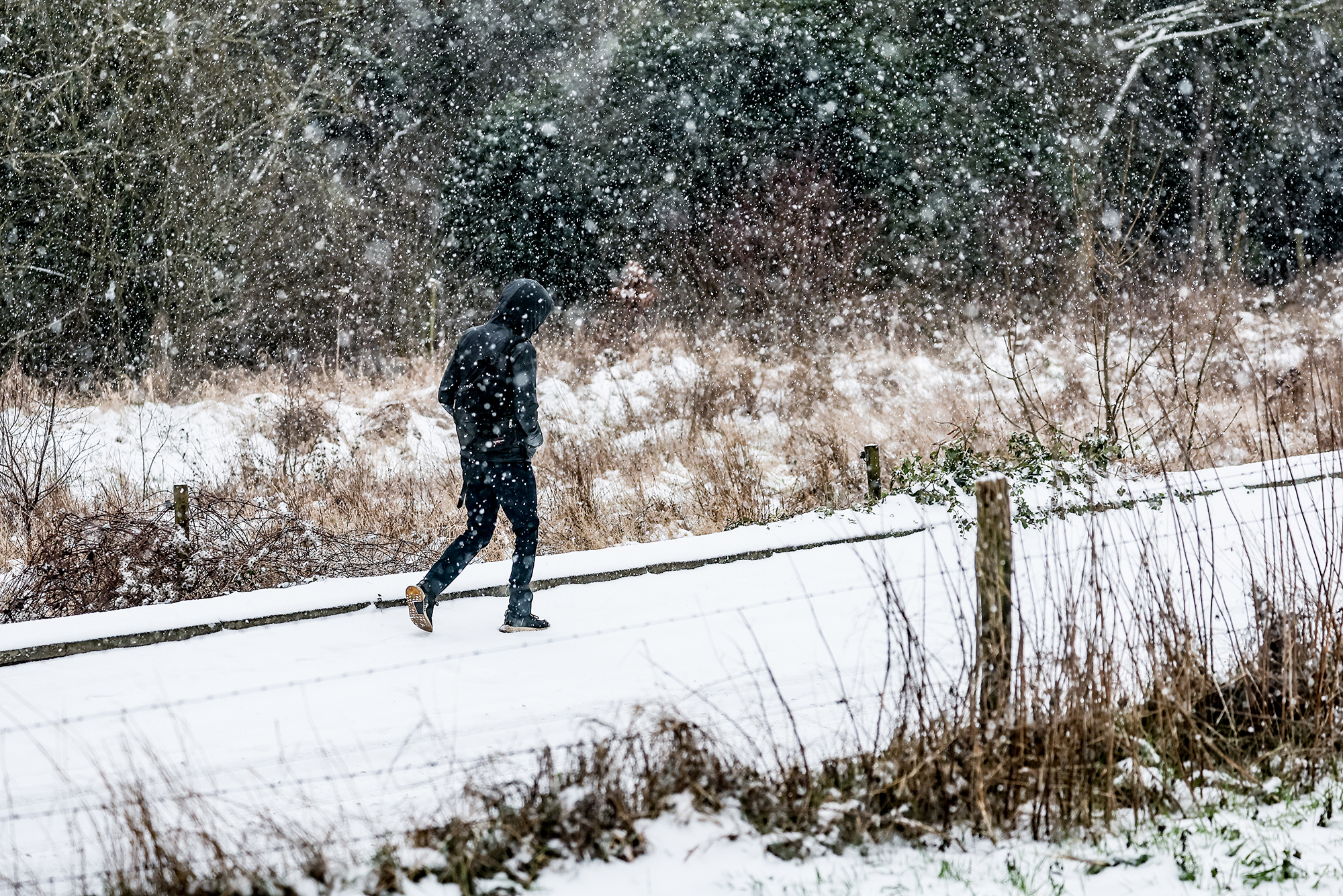 Schnee (Bild: Bruno Fahy/Belga)