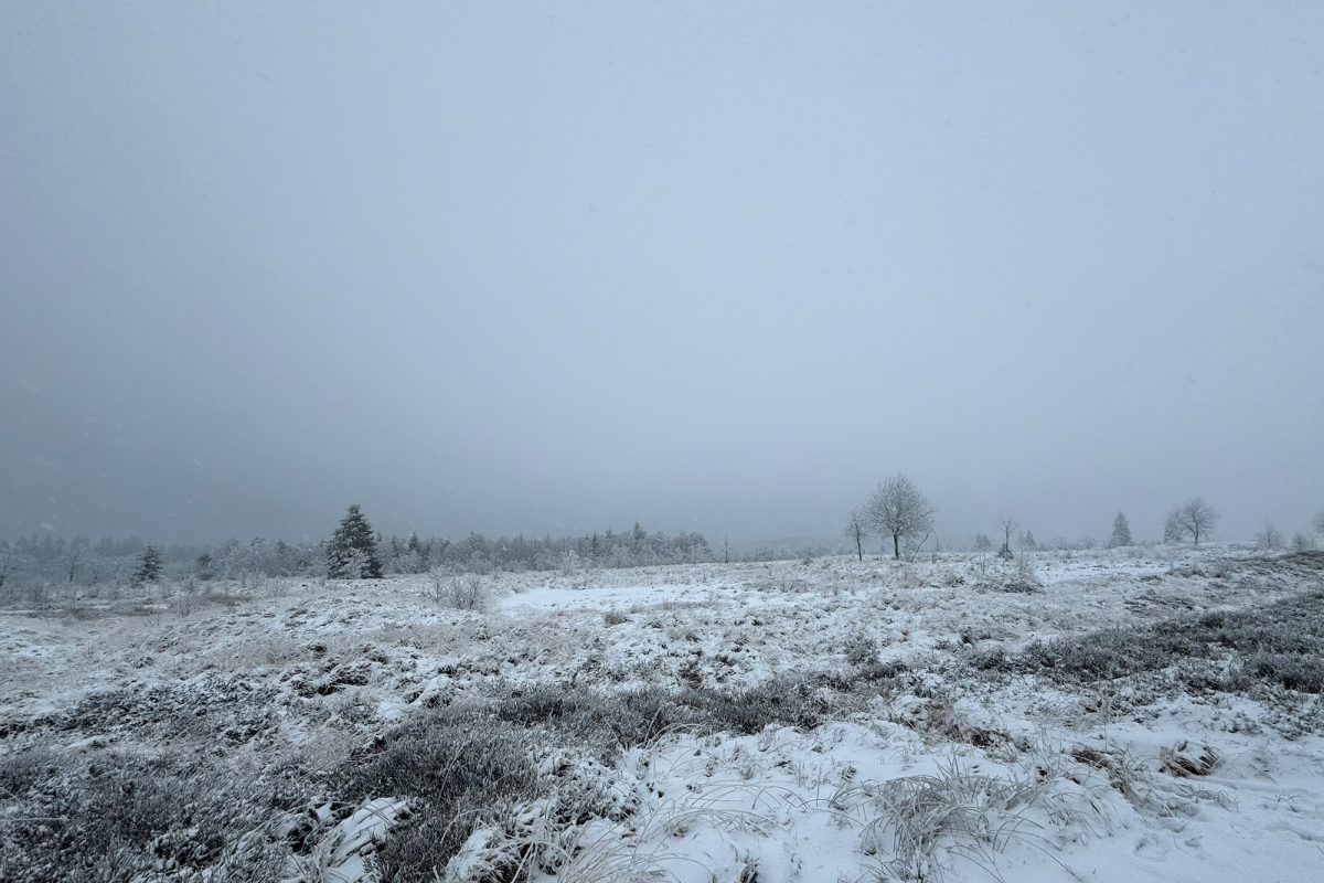 Schnee im Hohen Venn (Bild: Lena Orban/BRF)