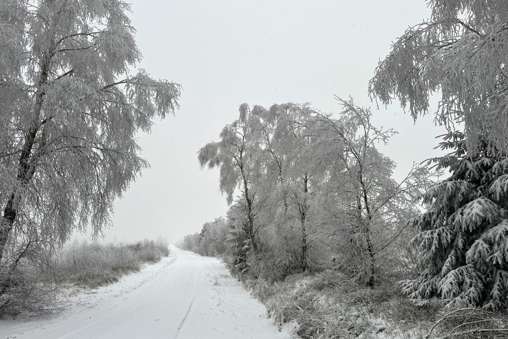 Schnee im Hohen Venn (Bild: Lena Orban/BRF)