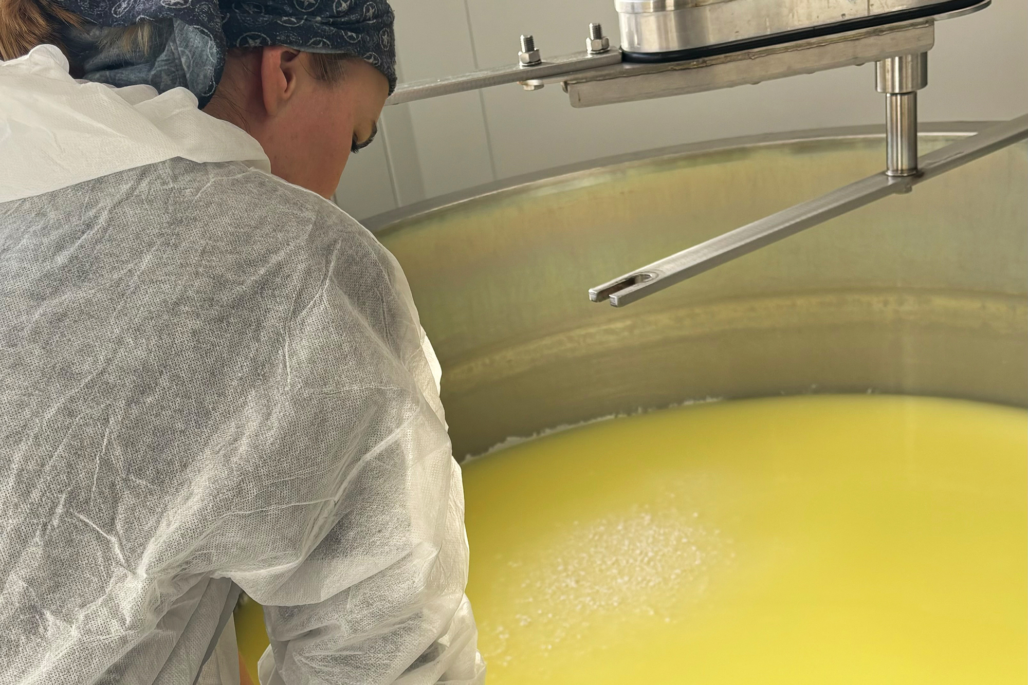 Donnerstag ist Käsetag beim Schoppener BioGut: Judith Michaeli verarbeitet 500 Liter pro Woche (Bild: Katrin Margraff/BRF)