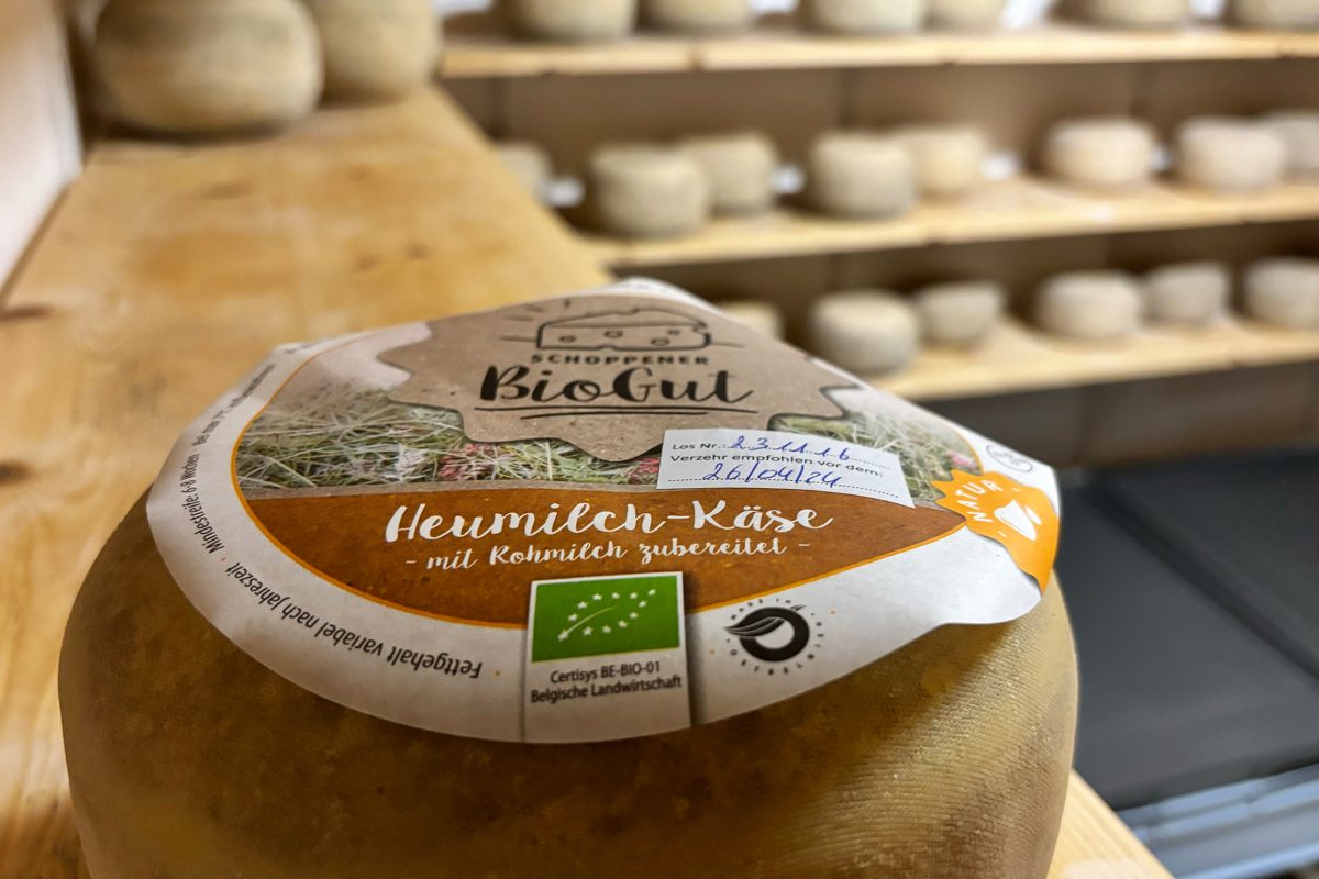 Heumilch-Käse vom Schoppener BioGut (Bild: Katrin Margraff/BRF)