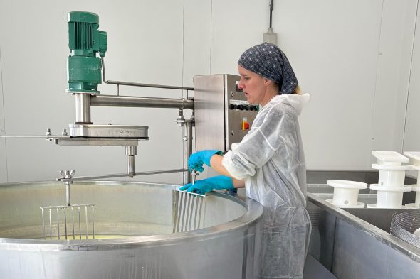 Judith Michaeli stellt den Käse für das Schoppener BioGut her (Bild: Katrin Margraff/BRF)