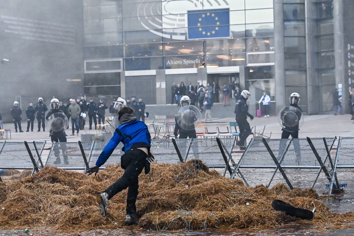 Bauernprotest in Brüssel (Bild: Dirk Waem/Belga)