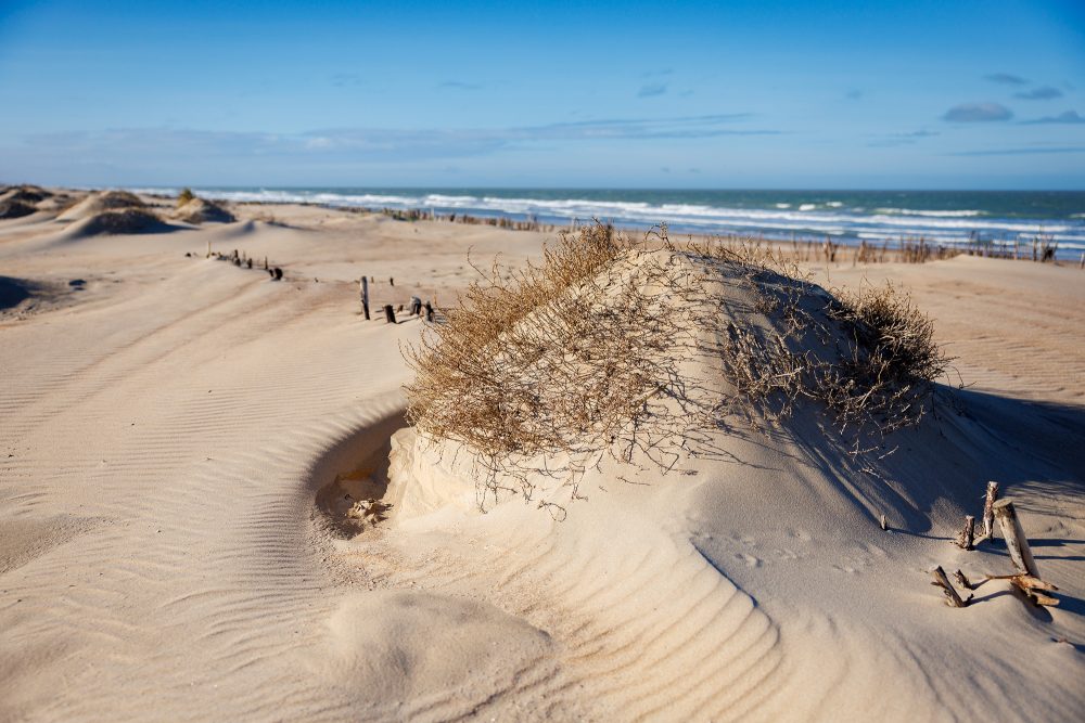 Dünen in Ostende