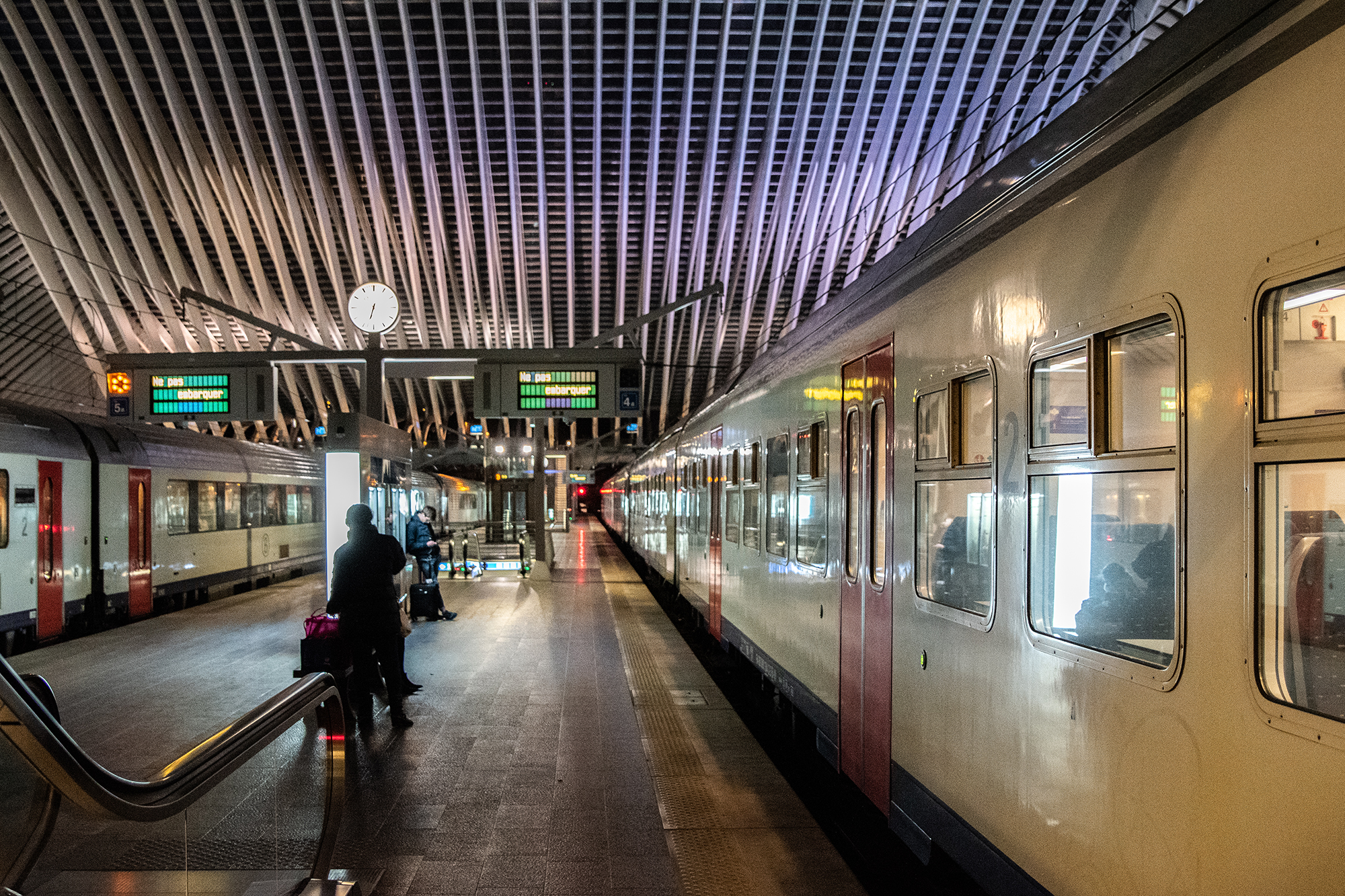 Zug im Bahnhof Lüttich-Guillemins (Illustrationsbild: Loan Silvestre/Belga)