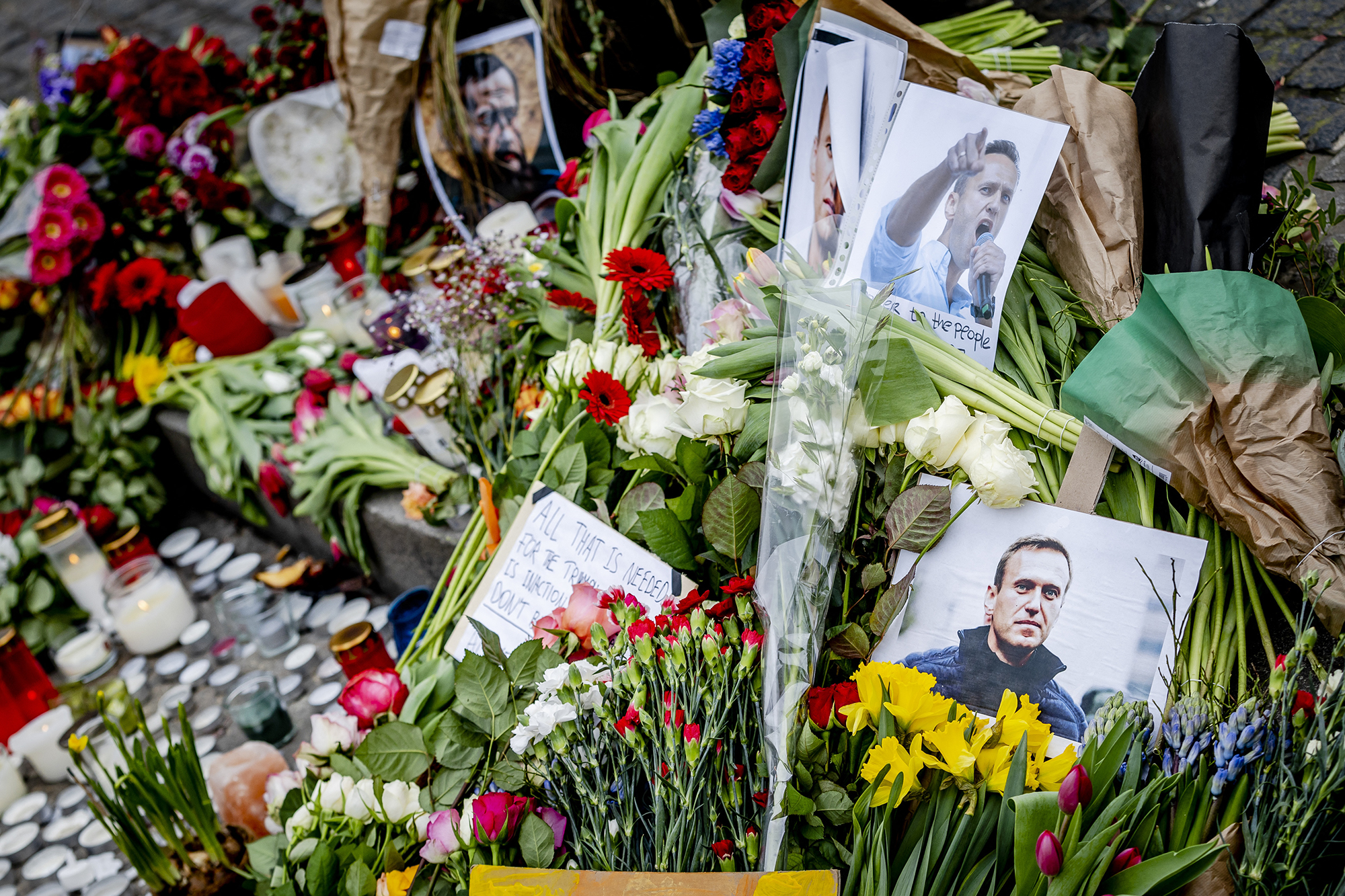 Blumen und Fotos von Alexej Nawalny in Amsterdam (Bild: Remko de Waal/ANP/AFP)