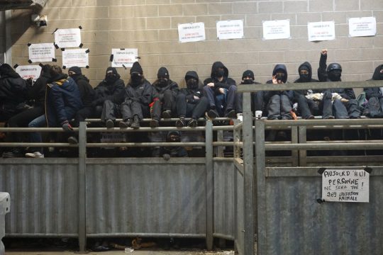 Tierschützer legen St. Vither Schlachthof Pegri lahm (Bild: Stephan Pesch/BRF)