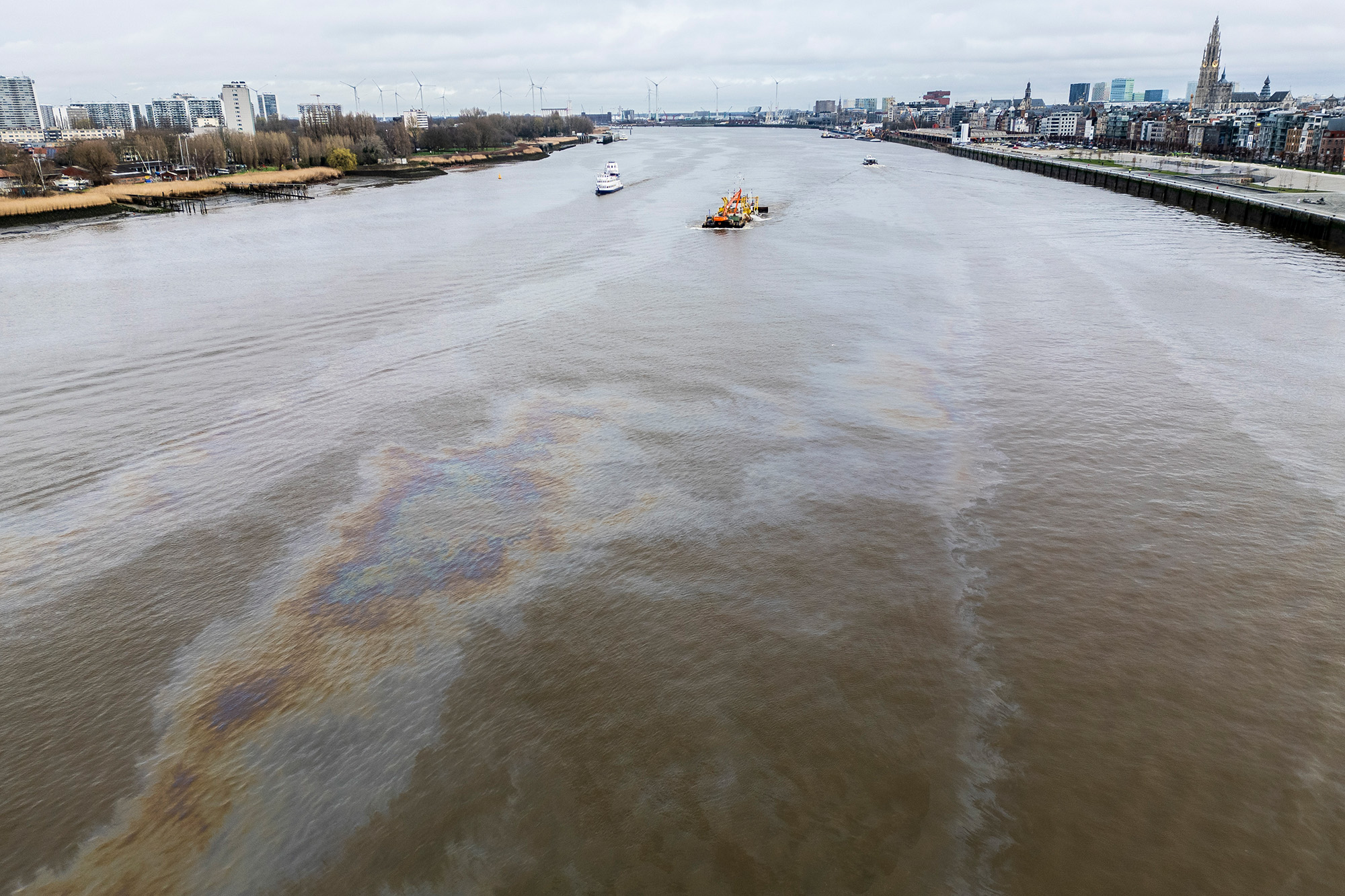 Ölfleck auf der Schelde (Bild: Tom Goyvaerts/Belga)