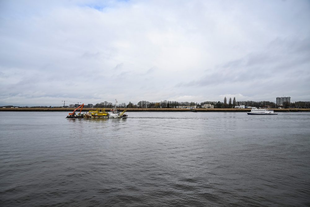 Schelde in Antwerpen (Bild: Tom Goyvaerts/Belga)