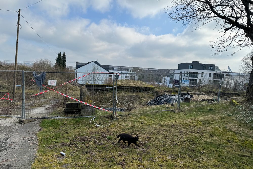 Auf den Spuren ostbelgischer Geschichte an der Burg St. Vith (Bild: Simonne Doepgen/BRF)