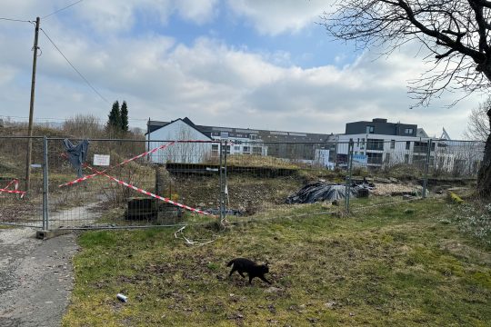 Auf den Spuren ostbelgischer Geschichte an der Burg St. Vith (Bild: Simonne Doepgen/BRF)