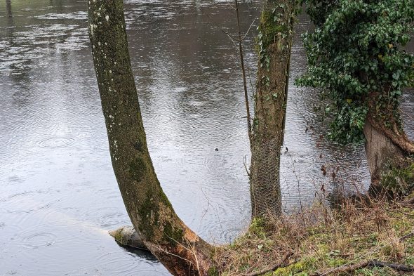 Weiher zwischen Astenet und Hergenrath (Bild: Gudrun Hunold/BRF)