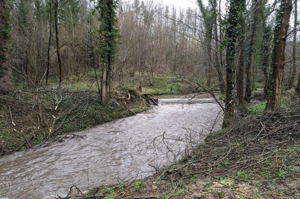 Weiher zwischen Astenet und Hergenrath (Bild: Gudrun Hunold/BRF)