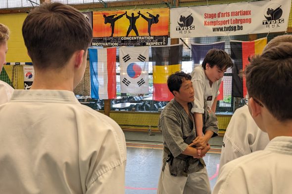 Mixed Martial Arts: Kampfsportlehrgang in Herbesthal