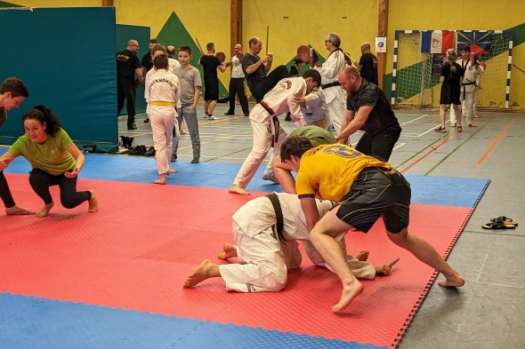 Mixed Martial Arts: Kampfsportlehrgang in Herbesthal