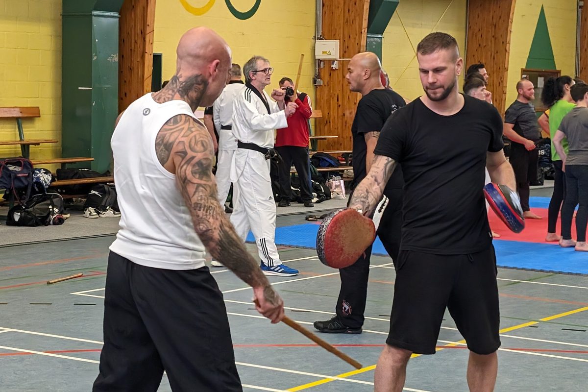 Mixed Martial Arts: Kampfsportlehrgang in Herbesthal 