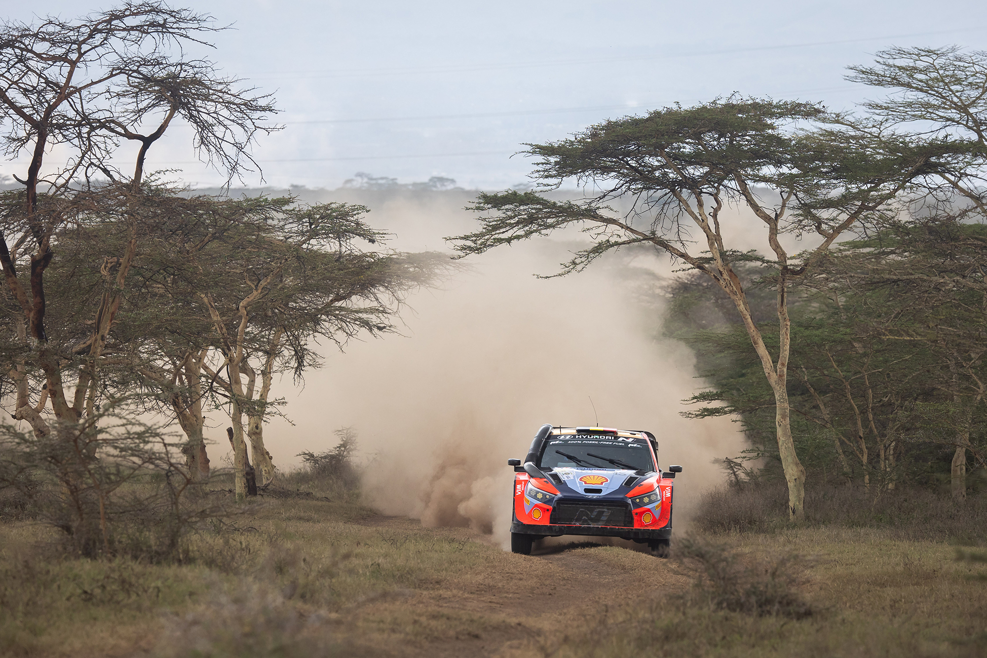 Thierry Neuville/Martijn Wydaeghe bei der Safari-Rallye Kenia