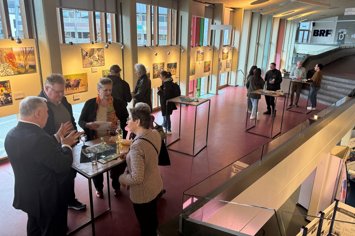 50 Jahre Naturschutz in Ostbelgien: Fotoausstellung von Natagora (Bild: Michaela Brück/BRF)