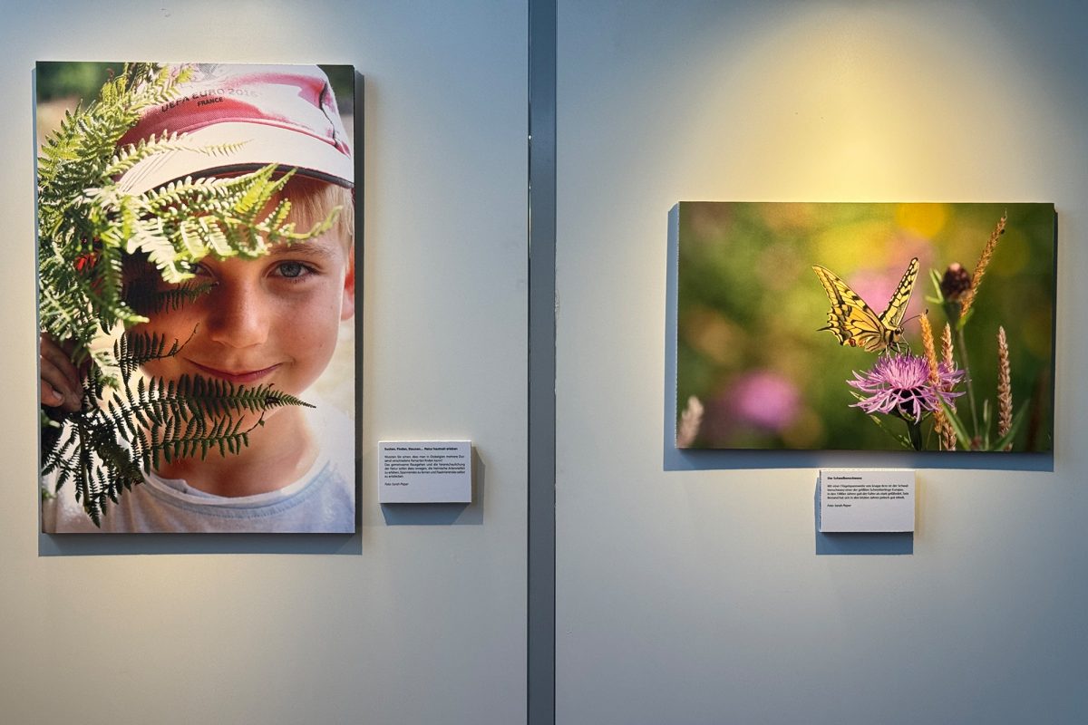 50 Jahre Naturschutz in Ostbelgien: Fotoausstellung von Natagora (Bild: Michaela Brück/BRF)