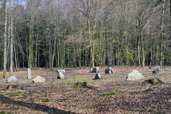 Bestattungswald Bambusch in der Gemeinde Amel
