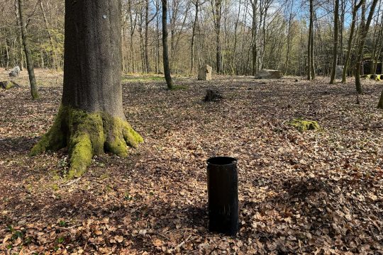 Bestattungswald Bambusch in der Gemeinde Amel