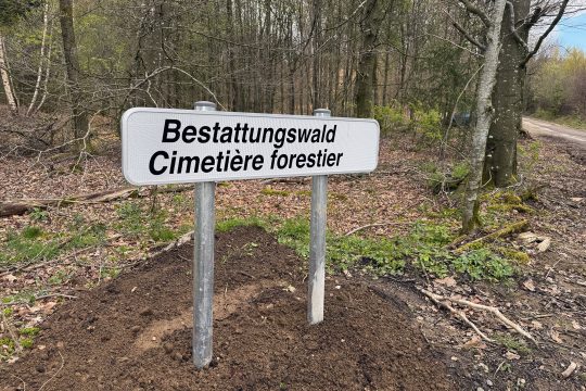 Bestattungswald Bambusch in der Gemeinde Amel