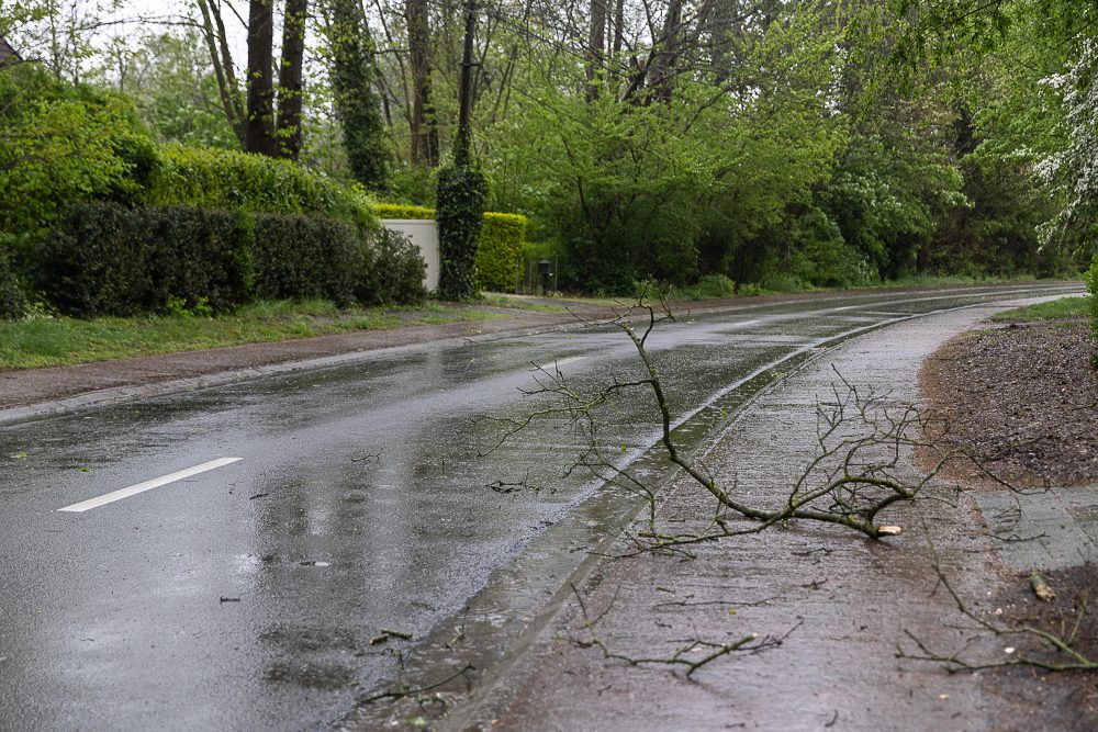 Auch in Gent fielen durch den Sturm Äste herab