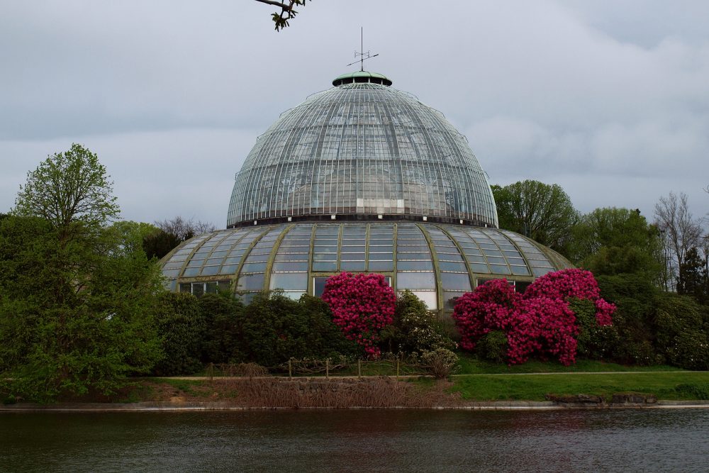 Königliche Gewächshäuser in Laeken