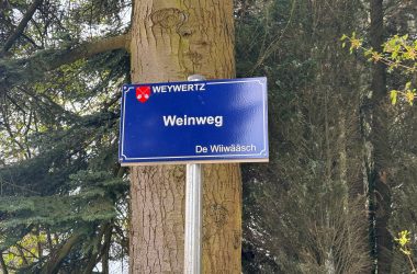 Weinweg in Weywertz: das neue Schild mit dem plattdeutschen Namen Wiiwääsch