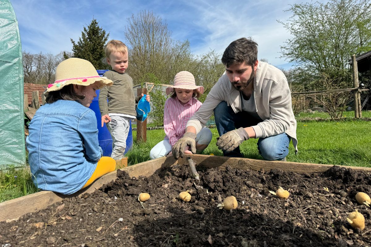Sommerwetter im April: Familie Asasa-Myshkin pflanzt Kartoffeln ein