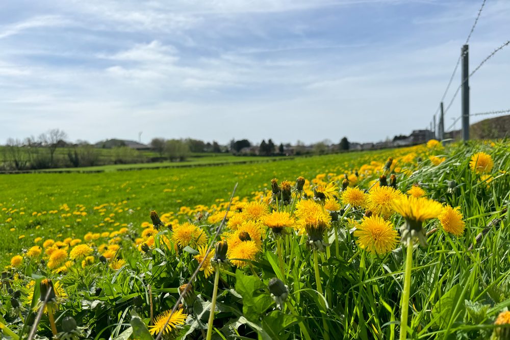 Sommerwetter im April