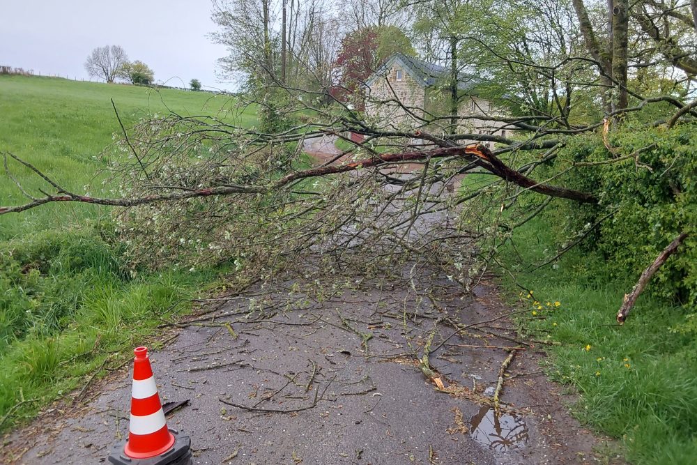 Sturmschäden im Mühlenweg in Lontzen