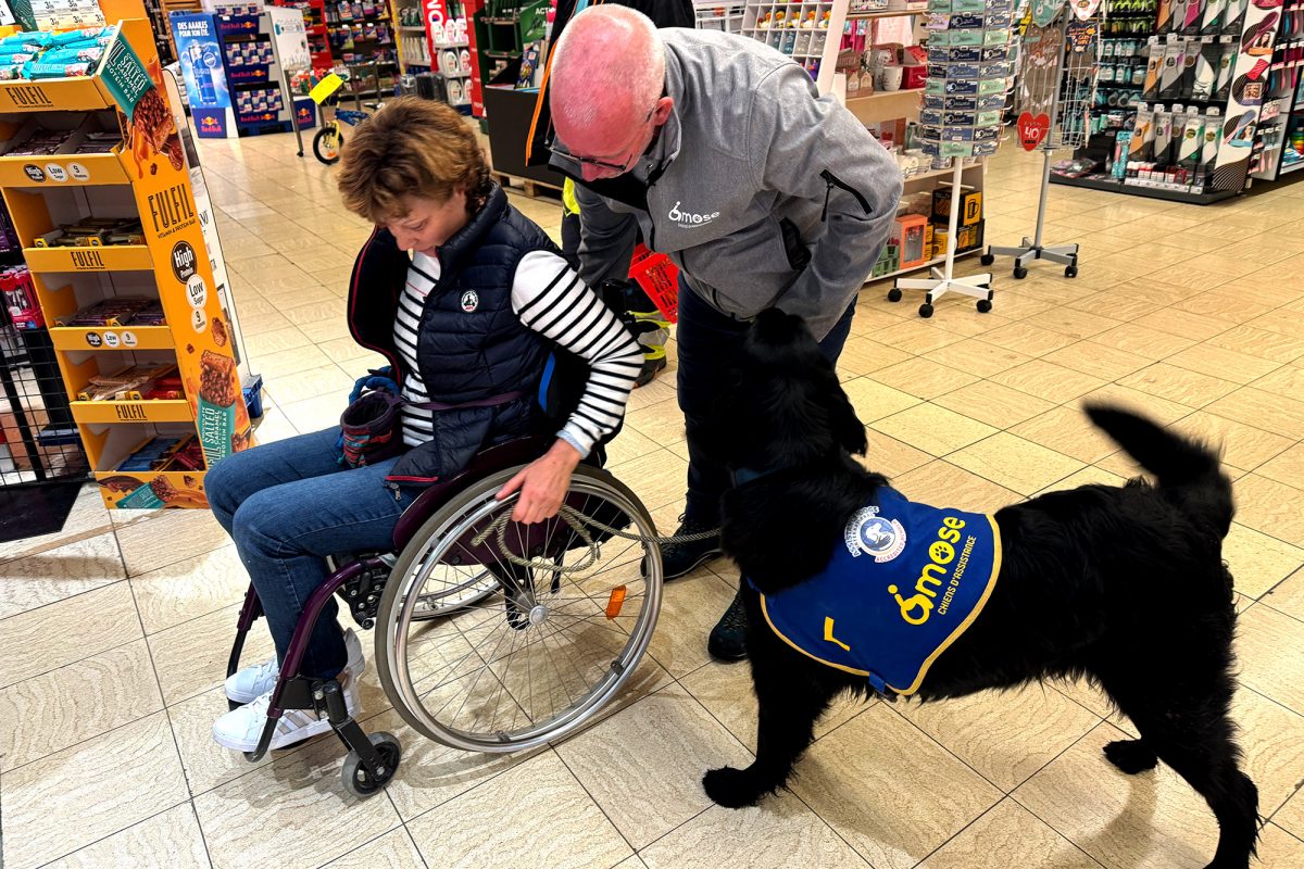 Angehender Assistenzhund Nox beim Training im Eupener Supermarkt