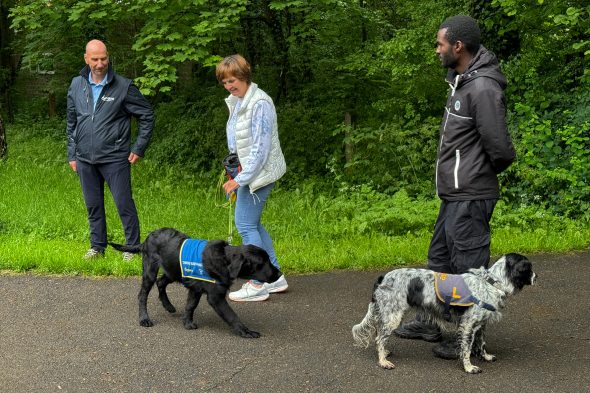 Angehende Assistenzhunde (Bild: Lena Orban/BRF)