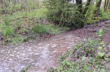 Bachlauf nach Starkregen