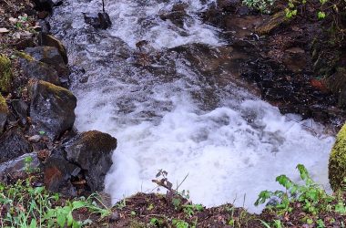 Bachlauf nach Starkregen