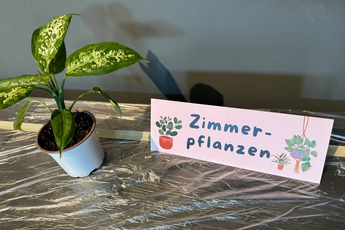 Pflanzen- und Saatguttauschparty im Alten Schlachthof anlässlich des zehnjährigen Jubiläums der "Fairtrade-Gemeinde" Eupen