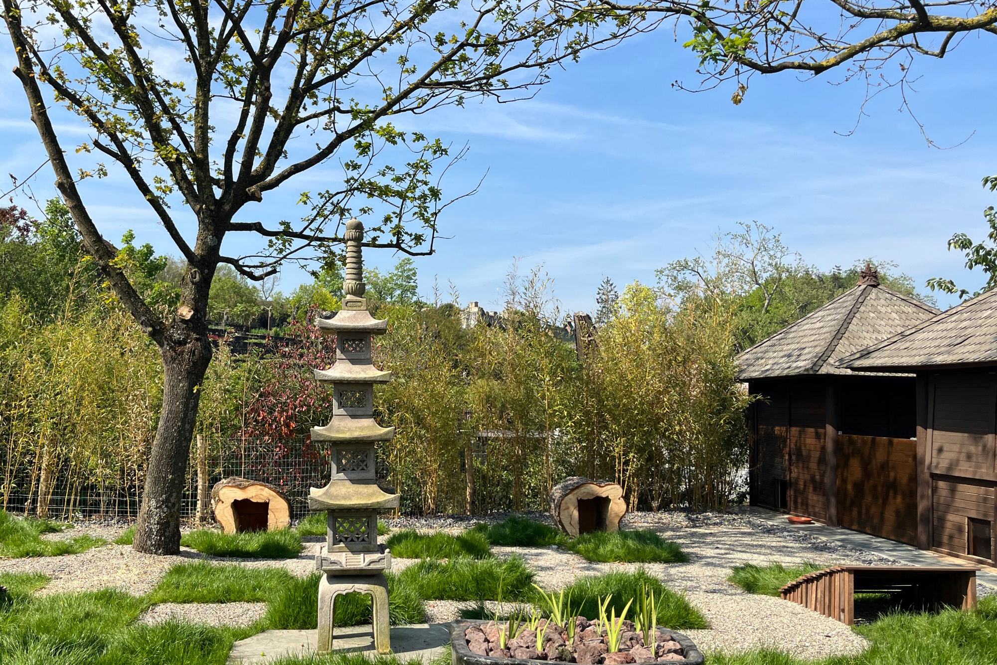 Japanischer Garten im Pairi Daiza