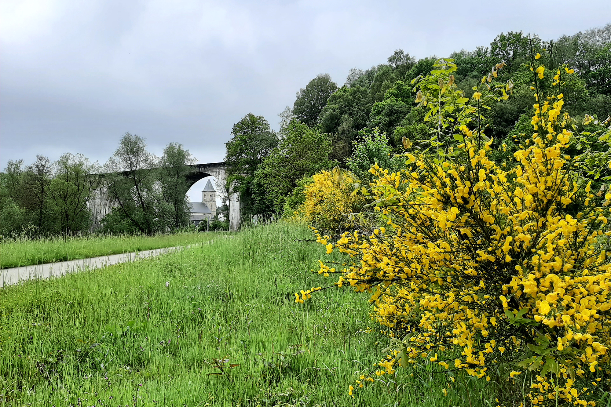 Blick auf Born mit der Freiherr-von-Korff-Brücke und der Kirche